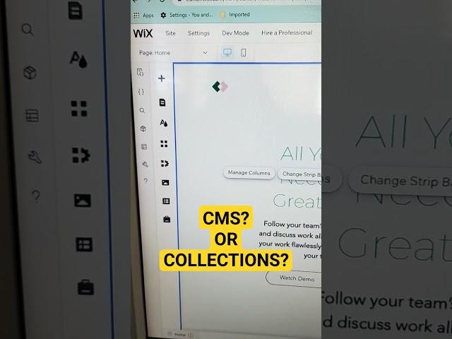 Wix Updates: Exploring Collection Enhancements for Better User Behavior and CMS
