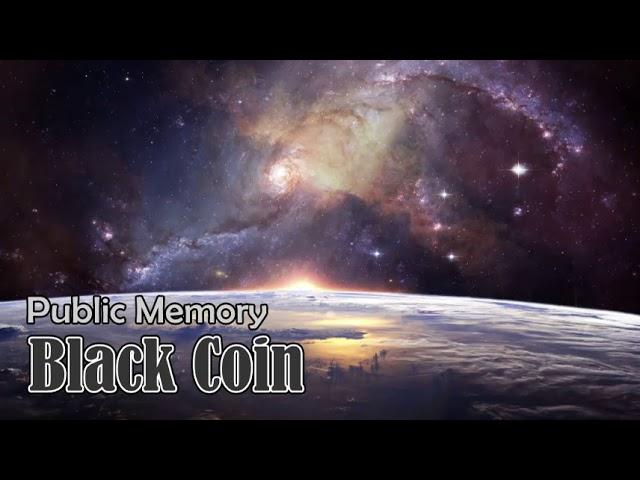 Public Memory - Black Coin