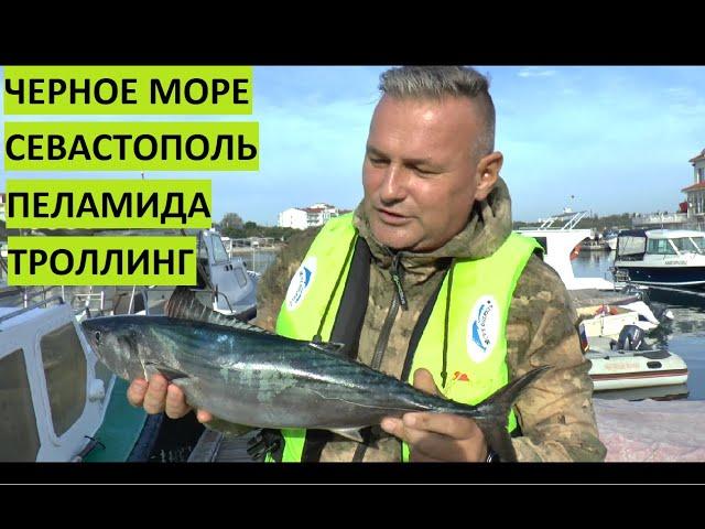 Рыбалка в Черном море. Пеламида. Троллинг. Севастополь