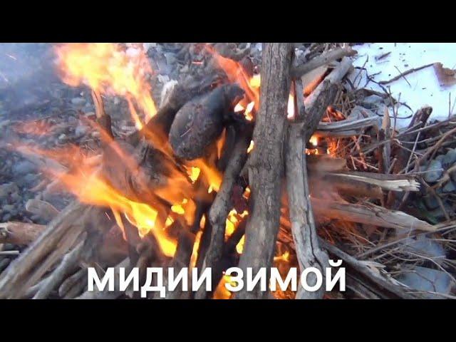 дайвинг для начинающих. погружение с аквалангом. Дайвинг.жизнь в Приморье