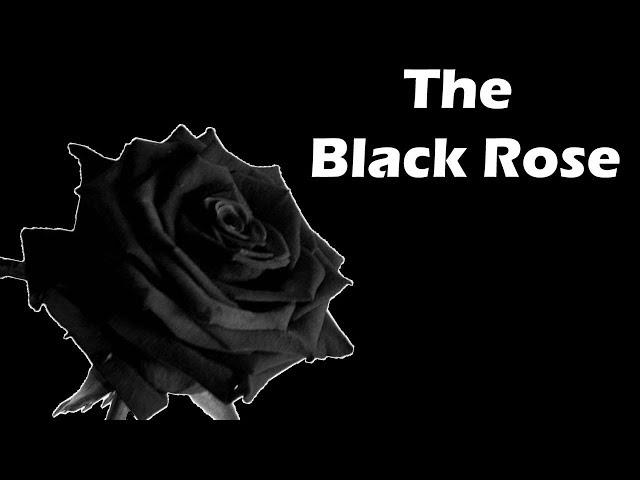 THINGS I DO FOR A DATE |Black Rose|