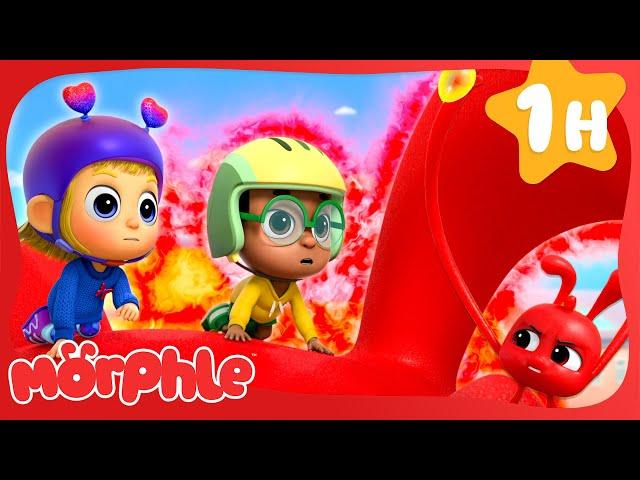 Moody Morphle | Morphle 3D | Monster Cartoon for Kids