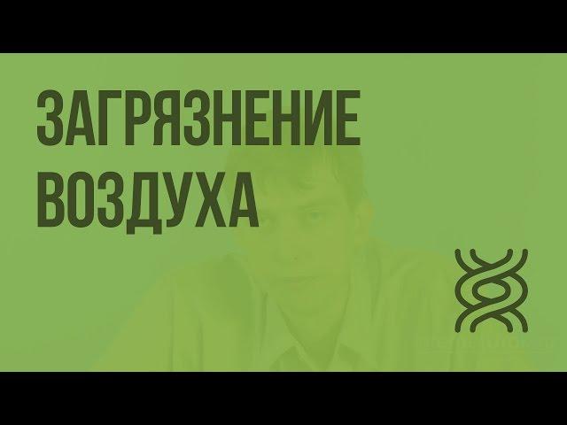 Последствия хозяйственной деятельности человека для окружающей среды. Загрязнение воздуха. Видеоурок