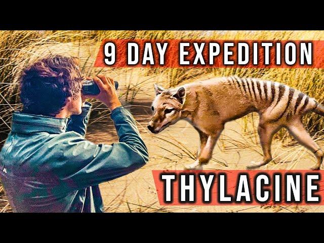 Expedition to Find The Tasmanian Tiger (Thylacine)