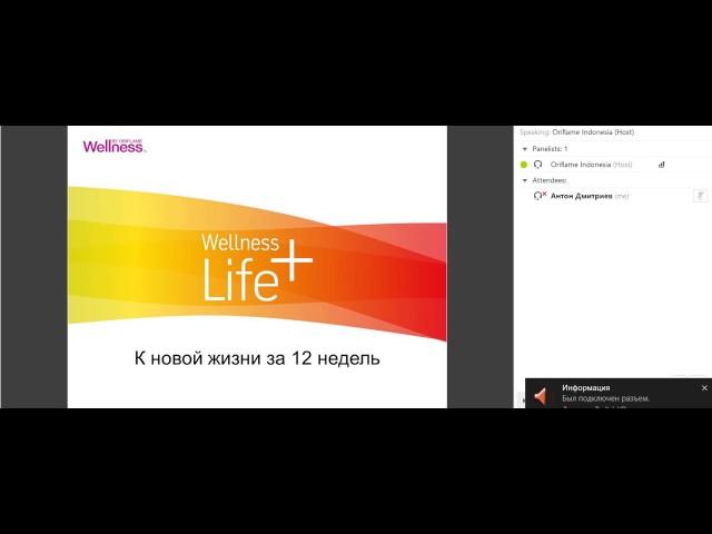 Wellness Life Для Начинающих Юлия Фатеева Wellness Director 03 11 2016