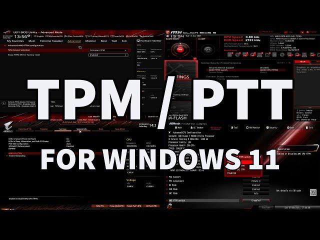 How To Enable TPM / PTT on EVERY Motherboard! (ASUS, MSI, Gigabyte, ASRock & BIOSTAR)