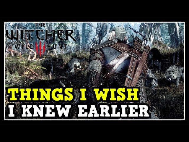 Things I Wish I Knew Earlier In The Witcher 3 Wild Hunt (Tips & Tricks)