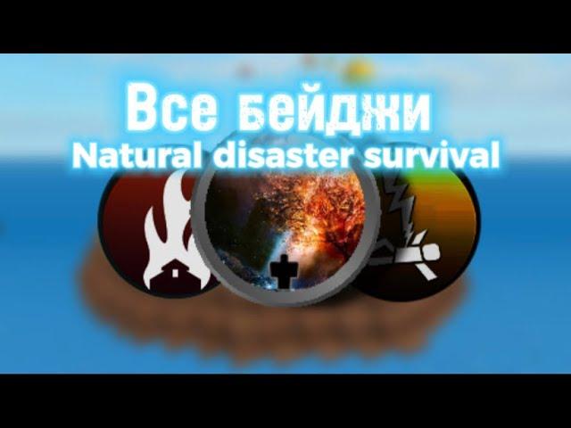 Все бейджи в Natural disaster survival : Интересные факты