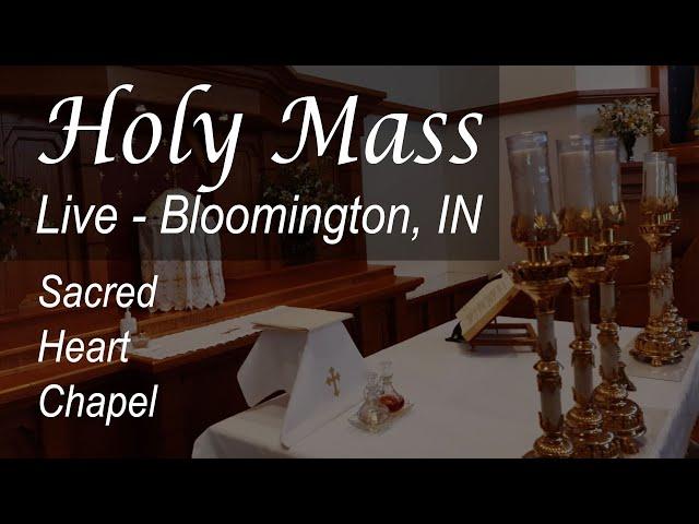 Live Mass & Rosary - 7 AM - Mary, Mother of the Church - Mon - Jun 09