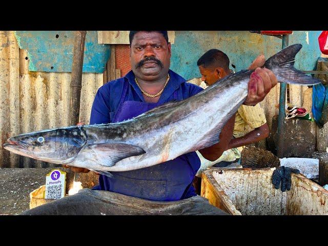 KASIMEDU  SPEED SELVAM | BIG BROWN COBIA FISH CUTTING VIDEO | IN KASIMEDU | FF CUTTING 