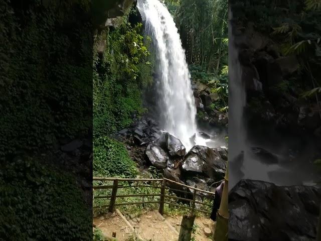 Coban Lanang Waterfall Kota Batu #batu #coban #waterfall #malang