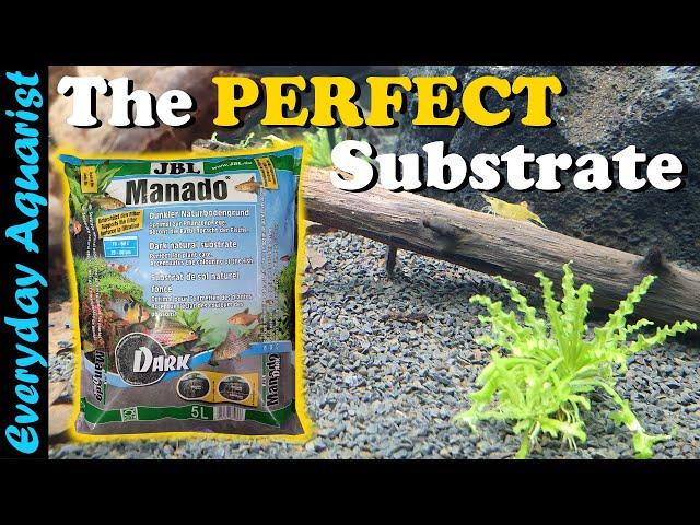 JBL Manado Dark | Best Substrate For Plants and Shrimp Tanks