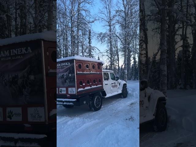 The Sled Dog Jeep on a chilly Alaska morning #jeepgladiator