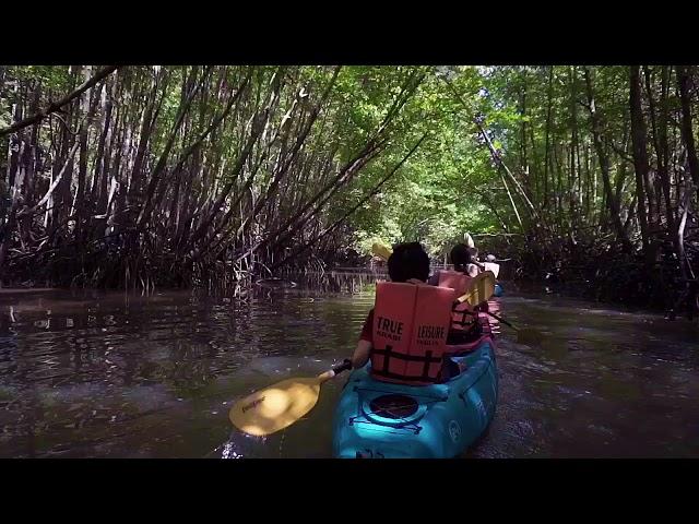 Best Of Krabi : Ao Thalane Mangrove Kayak Adventure