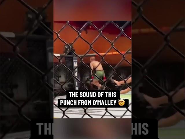 The sound of this punch  (via @UFC/TT)