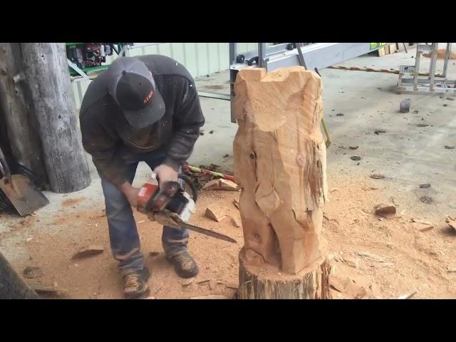 Bear Chainsaw Carving Tutorial with Chainsaw Dave USA. Surprise Ending!!!