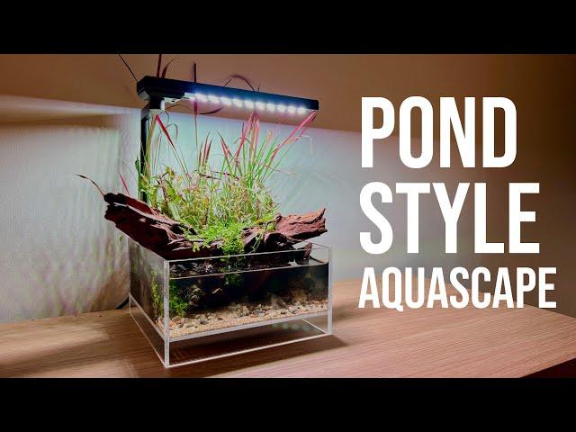 STEP-BY-STEP Pond Aquascape!