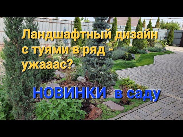 Ландшафтный дизайн с туями в ряд - УЖААС? НОВИНКИ в саду