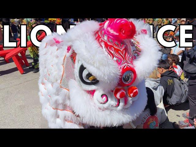 Lion Dance Festival 2024 in San Francisco Chinatown | Golden Turtle Lion Dance Association