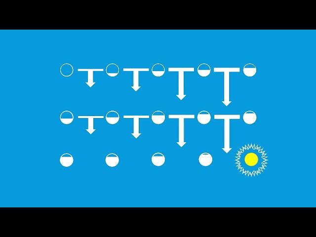 Introduction To Optimization: Gradient Free Algorithms (1/2) - Genetic - Particle Swarm