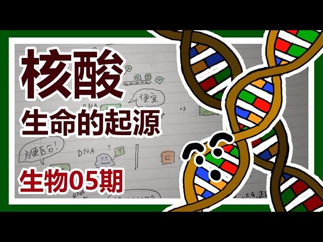 核酸——生命的起源【生物05期】