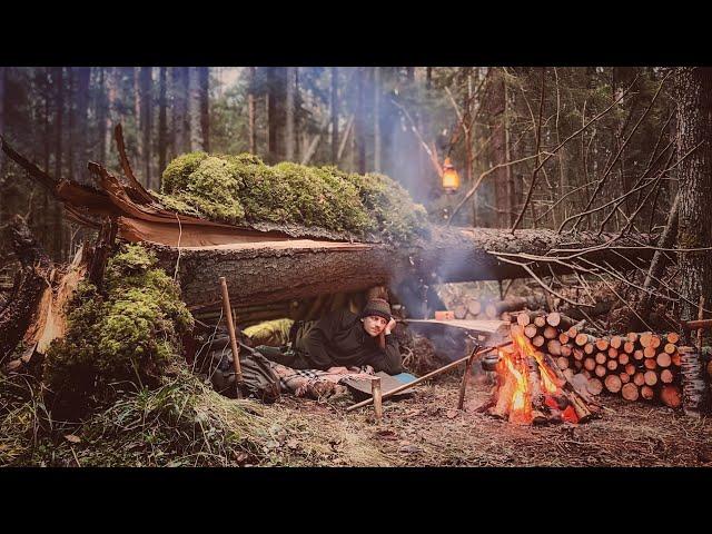 Bushcraft in a cold winter forest. Build Primitive shelter for survival. Survival skills in the wild