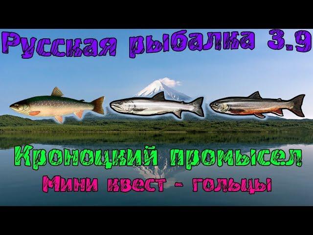 Русская рыбалка 3.9. Кроноцкий промысел. Мини квест - Гольцы.