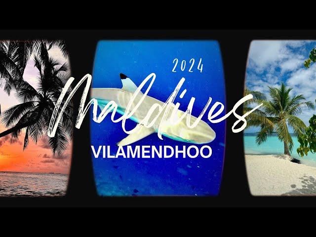 MALDIVES 2024 - VILAMENDHOO ISLAND RESORT - JUNE TO JULY - SOUTH ARI ATOLL - SNORKELING - HOUSE REEF