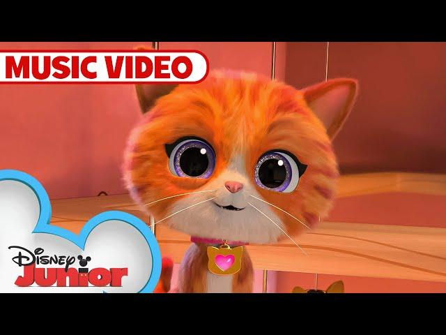 Astro-Cat!  | Music Video | SuperKitties | @disneyjr​