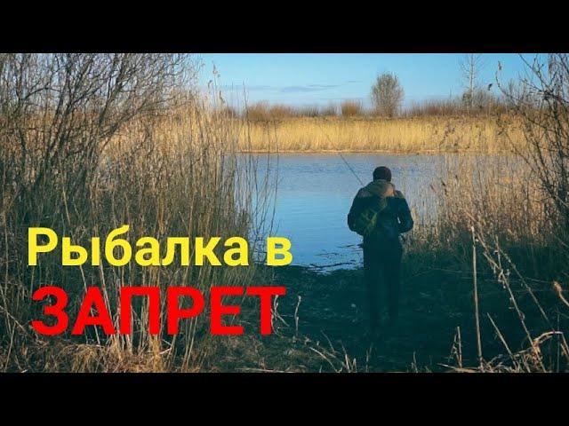 Рыбалка в запрет! Ладожский канал/май 2023 #рыбалка #запрет #щука