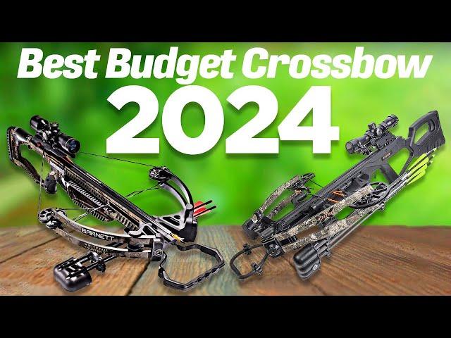 Best Budget Crossbow 2024 [don’t buy one before watching this]