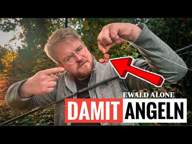 Mit DIESEM KÖDER ANGELN wo der Wels wohnt - Ewald Alone