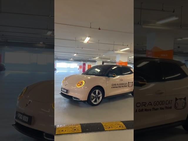 How to activate the Ora Good Cat Auto Parking Function?