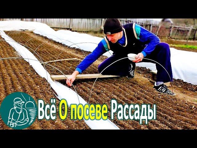  All About Sowing Seedlings by Technology Gordeev | Growing Seedlings in a Homemade Greenhouse