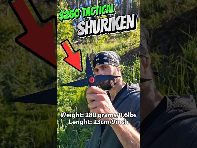 $1 MALL Shuriken VS $250 TACTICAL Shuriken #skills #shorts #ninja #japan #martialarts