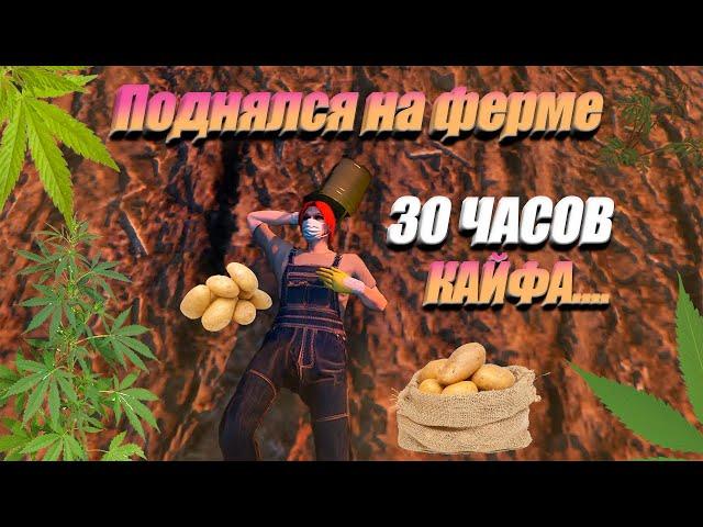 ПРОСТОЯЛ 30 ЧАСОВ НА ФЕРМЕ И ПОЛУЧИЛ БОЛЬШОЙ ДОХОД! Majestic RP.