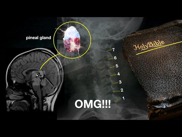 OMG! Why is nobody talking about this???  (Hidden Messages in the Bible)