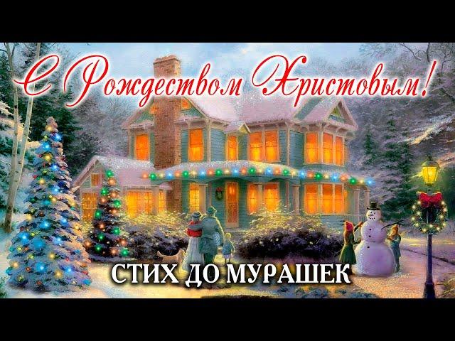 РОЖДЕСТВЕНСКИЙ ОЧЕНЬ ТРОГАТЕЛЬНЫЙ СТИХ! С Рождеством Христовым 2023! Сочельник | Ольга Май