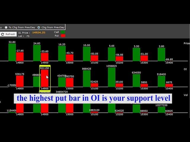 TrueData Cheetah Option Distribution and Option Pain