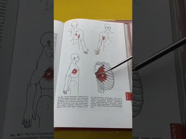 ПРИ БОЛИ В ГРУДИ ПОПРОБУЙ ЭТО