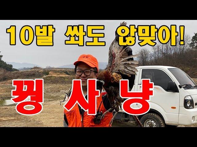 2019 장수군 꿩사냥 수렵 꿩은 많은데 잡지를 못하는 똥포 아재들의 취미