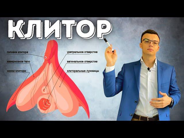 Как Ласкать Клитор. Как Довести Девушку До Клиторального Оргазма.