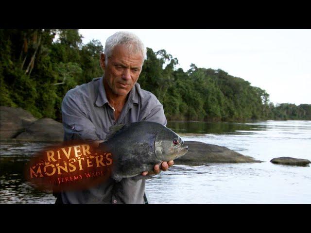 Catching A HUGE Black Piranha In One Of The Most Remote Rivers In The World | River Monsters