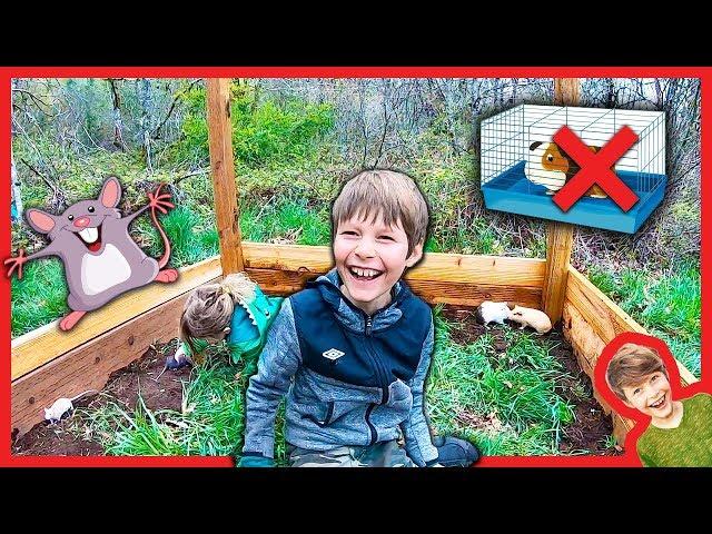 BUiLDING A GiANT FORT with PET RATS and GUINEAS!