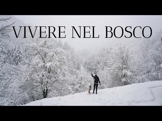 Quando l'Inverno ti chiede di Rallentare | Vita Semplice in Appennino: tra Neve e Stufa a Legna #45