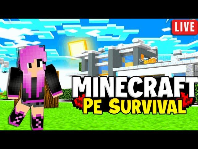 MINECRAFT PUBLIC SMP LIVE | JAVA / BEDROCK 24/7 LIVE SERVER #minecraft #live #shortsfeed  #smp