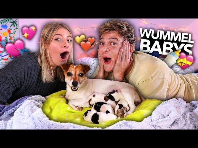 WUMMEL HAT BABYS BEKOMMEN ️  | Joey's Jungle