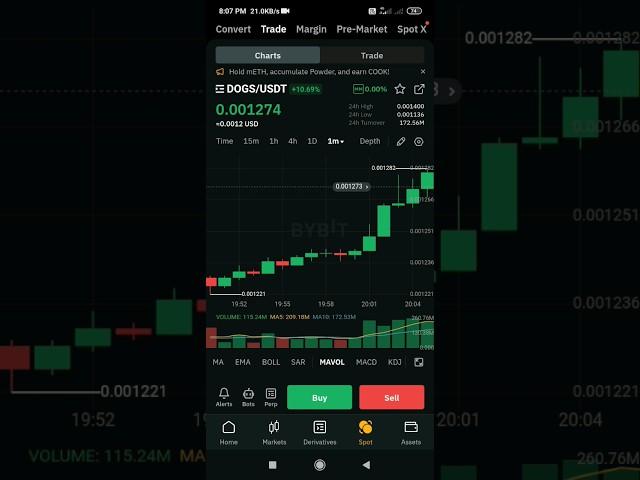 Dogs price goes up when we hold dogs ( what is good price to sale dogs #dogs #cryptocurrency #bybit