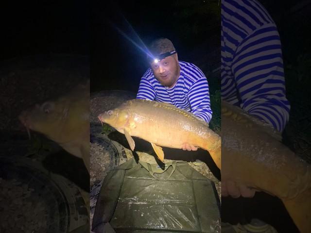 А вы отпускаете рыбу? #fishing #карп #рыба #flatfeeder #рыбалка #carpfishing #fishing #carp