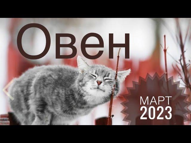 Овен ️ МАРТ 2023 года Таро Ленорман прогноз Предсказание